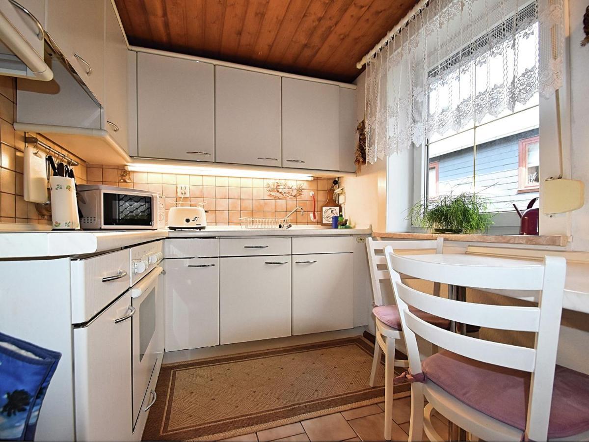Apartment In Thuringian Forest With Garden Schwarzatal Exterior photo